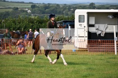 Ashwater-ring-1-2284