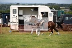 Ashwater-ring-1-2286