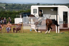 Ashwater-ring-1-2287