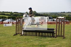 Ashwater-ring-1-2336