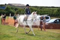 Ashwater-ring-1-2346