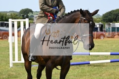 Ashwater-ring-1-2363