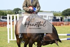 Ashwater-ring-1-2365