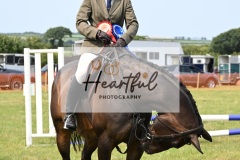 Ashwater-ring-1-2366