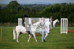 Ashwater-ring-3-08