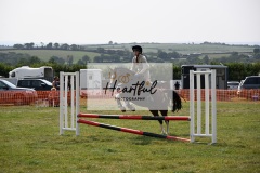 Ashwater-showjumping-12