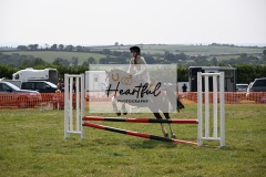 Ashwater-showjumping-13