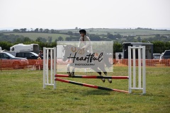 Ashwater-showjumping-14