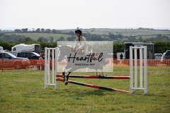 Ashwater-showjumping-15