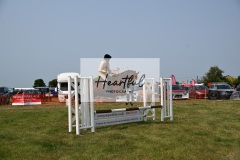 Ashwater-showjumping-16