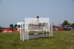 Ashwater-showjumping-18