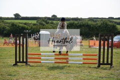 Ashwater-showjumping-20