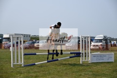 Ashwater-showjumping-242