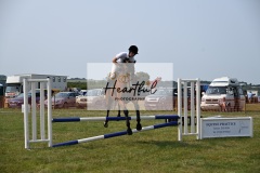 Ashwater-showjumping-243