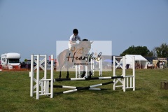 Ashwater-showjumping-254