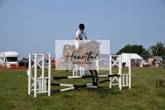 Ashwater-showjumping-256
