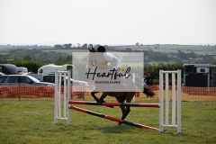 Ashwater-showjumping-260