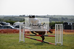 Ashwater-showjumping-261