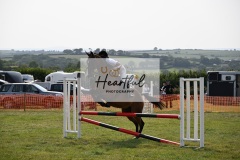 Ashwater-showjumping-262