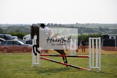 Ashwater-showjumping-265