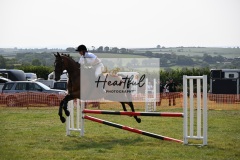 Ashwater-showjumping-266