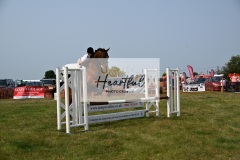Ashwater-showjumping-268