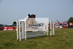Ashwater-showjumping-269