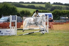 Ashwater-showjumping-27