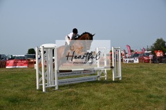 Ashwater-showjumping-271
