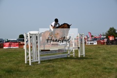 Ashwater-showjumping-272