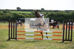 Ashwater-showjumping-277