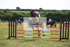 Ashwater-showjumping-279