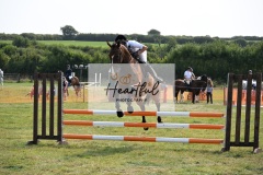 Ashwater-showjumping-280