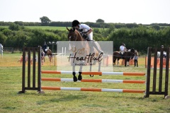 Ashwater-showjumping-281