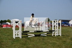 Ashwater-showjumping-29