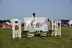 Ashwater-showjumping-30
