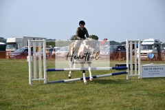 Ashwater-showjumping-31