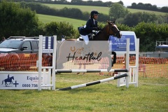 Ashwater-showjumping-315