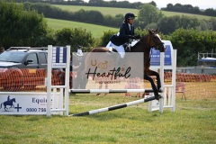 Ashwater-showjumping-316