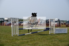 Ashwater-showjumping-341