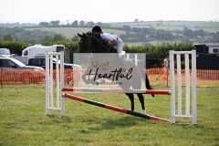 Ashwater-showjumping-355