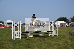 Ashwater-showjumping-36