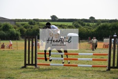 Ashwater-showjumping-366