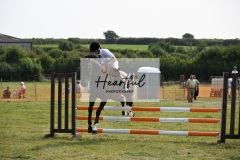 Ashwater-showjumping-367