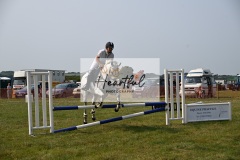 Ashwater-showjumping-368