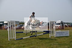 Ashwater-showjumping-369
