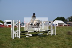 Ashwater-showjumping-37