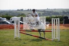 Ashwater-showjumping-378