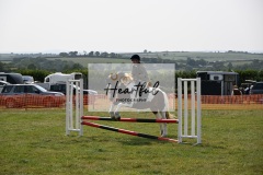 Ashwater-showjumping-38