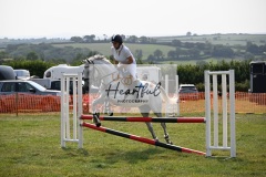 Ashwater-showjumping-380